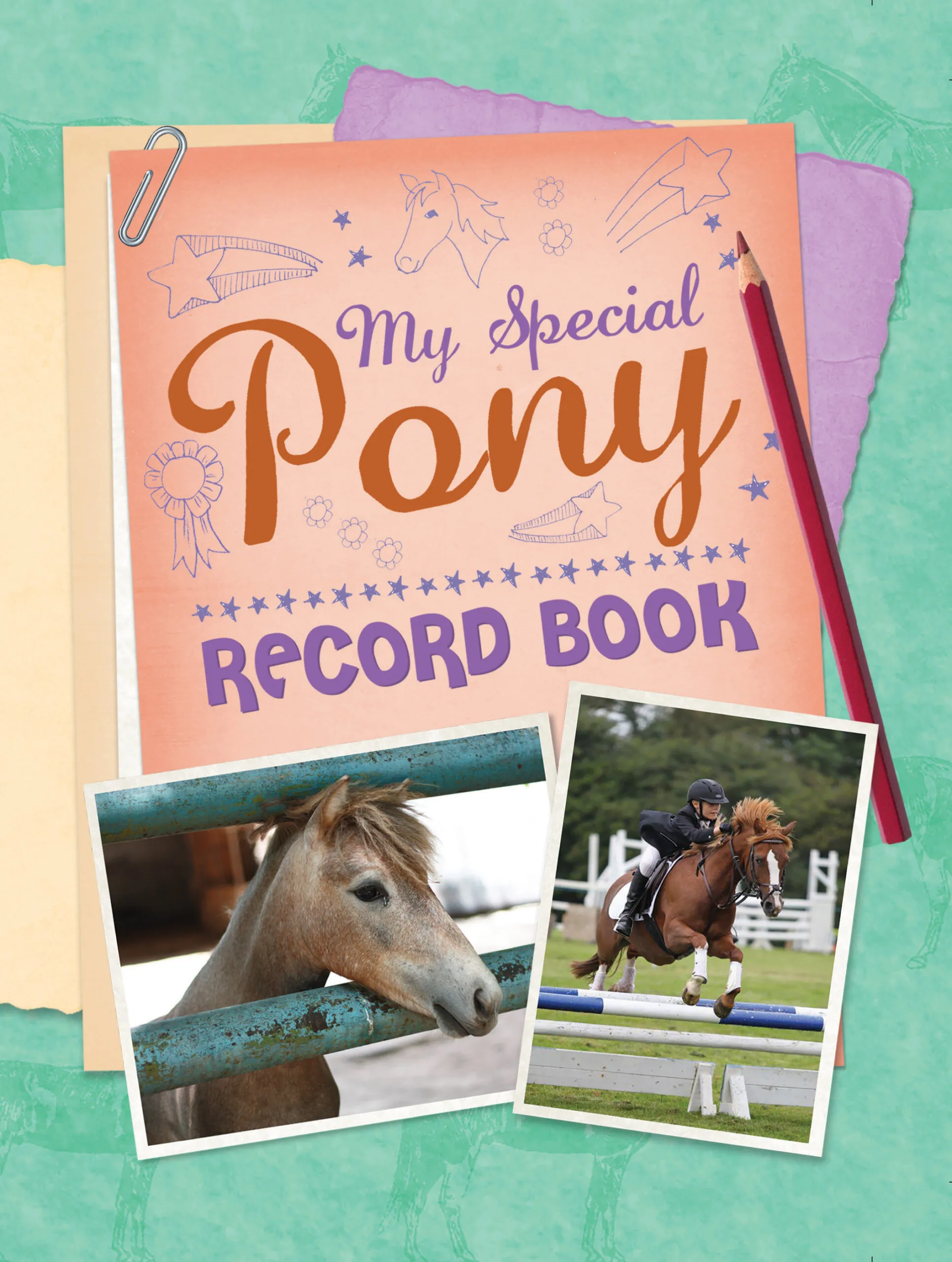 The Pony Club & Young Riders book cover